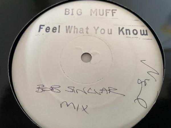 Big Muff - Feel What You Know