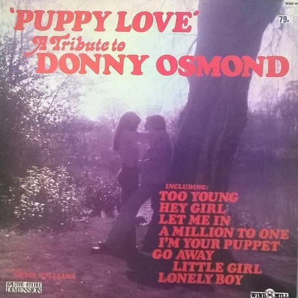 Chris Williams (30) - 'Puppy Love' - A Tribute To Donny Osmond