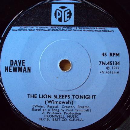 Dave Newman  - The Lion Sleeps Tonight (Wimoweh)