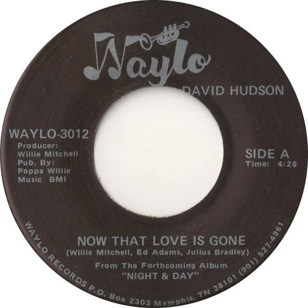David Hudson  - Now That Love Is Gone