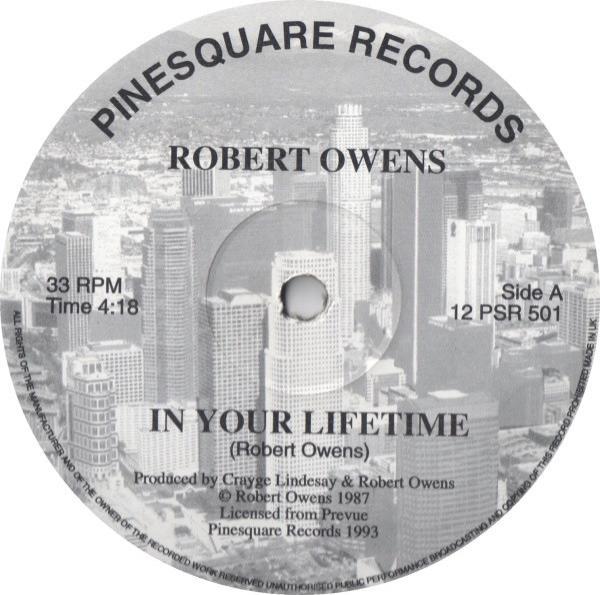 David McClendon, Robert Owens (2), Reign (17) - In Your Lifetime / Paradise / Let Me