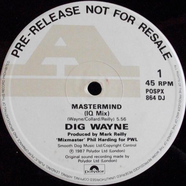 Dig Wayne - Mastermind