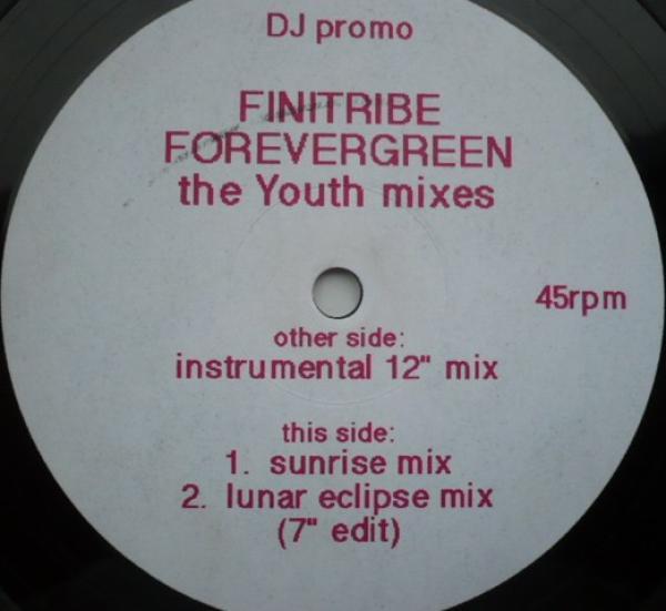 Finitribe - Forevergreen - The Youth Mixes