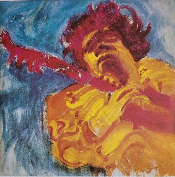 Jimi Hendrix - The Jimi Hendrix Concerts