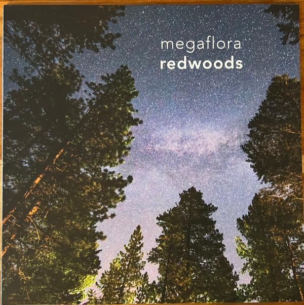 Megaflora - redwoods