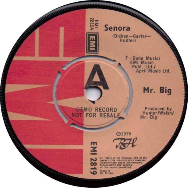 Mr Big - Senora
