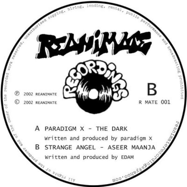 Paradigm X, Strange Angel - The Dark / Aseer Maanja