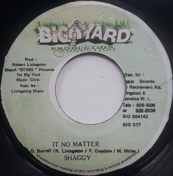 Shaggy - It No Matter