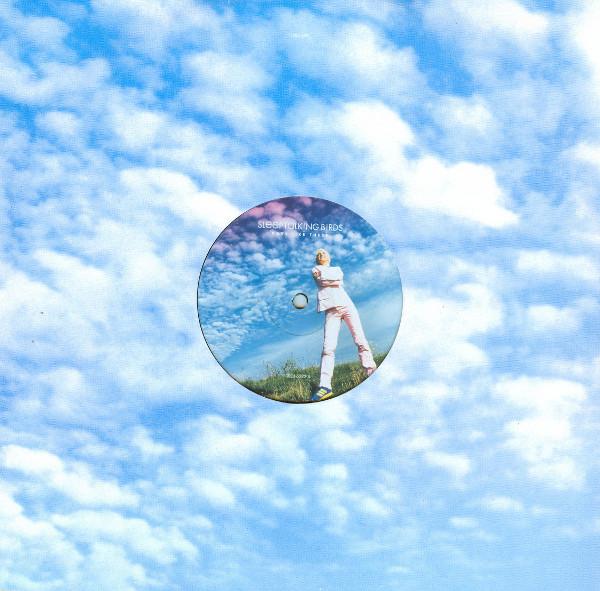 Sleeptalking Birds - Days Like These