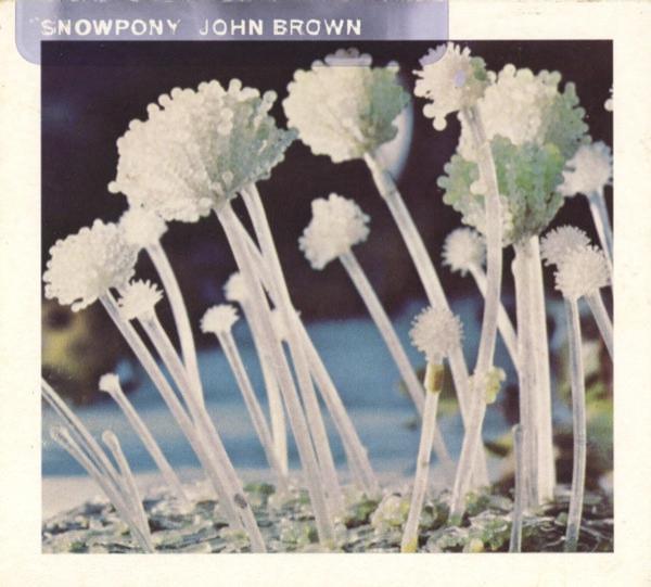 Snowpony - John Brown