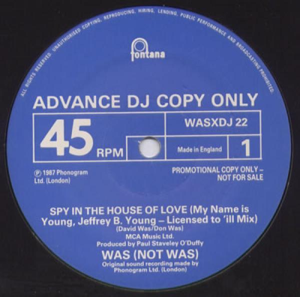 Was (Not Was) - Spy In The House Of Love