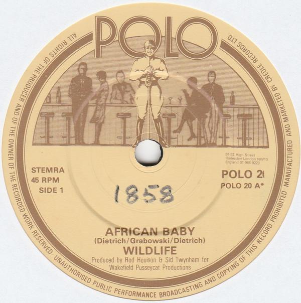 Wildlife  - African Baby